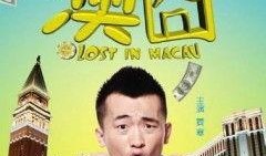 澳囧在线观看,一场跨国囧途的欢乐之旅